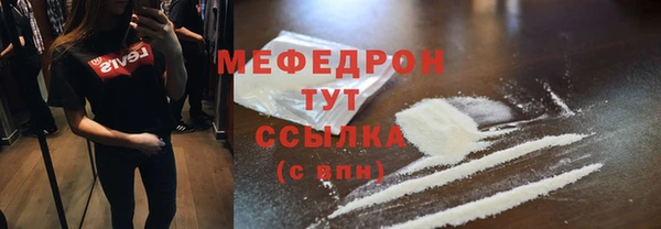 индика Вяземский